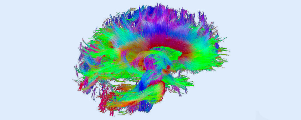 Neuroeducación