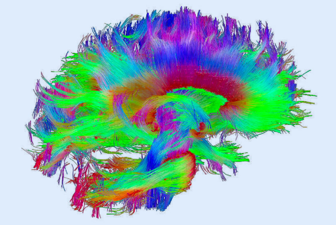 Neuroeducación